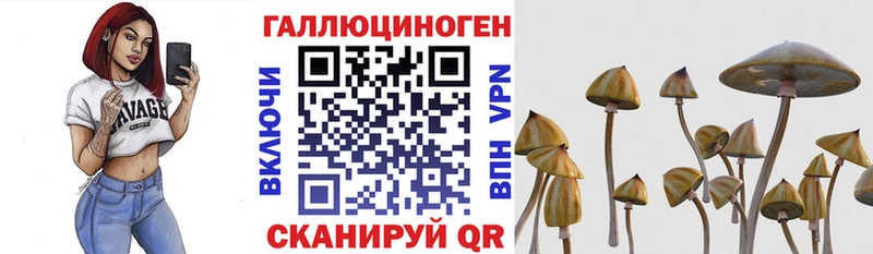 гидра вход  где купить наркотик  Борисоглебск  Псилоцибиновые грибы мицелий 