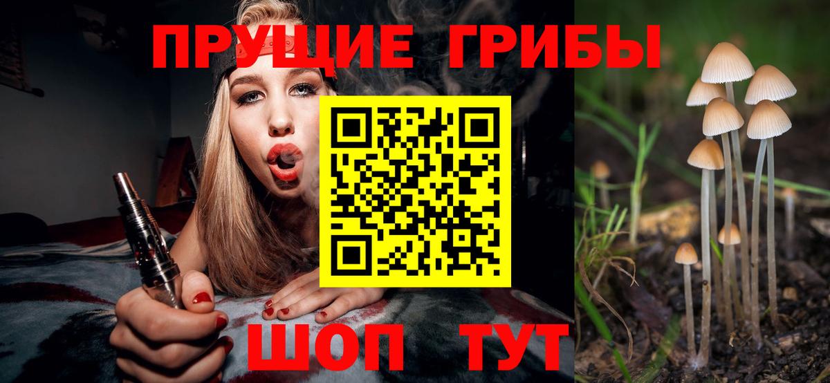 Борисоглебск  Галлюциногенные грибы Psilocybine cubensis  Вход с VPN 